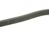 Ремінь генератора Mitsubishi L200 2.5DI-D 05-15 (6PK1496) BOSCH 1987948497 (фото 3)