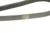 Ремінь генератора Mitsubishi L200 2.5DI-D 05-15 (6PK1496) BOSCH 1987948497 (фото 4)