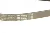 Ремінь генератора Ford Transit 2.4 TDCI 00-06 (7PK2710) BOSCH 1987946285 (фото 10)