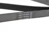 Ремінь генератора Ford Transit 2.3 06-14/Audi 100 2.8E 90-94 (6PK2280) BOSCH 1987946286 (фото 8)
