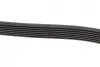 Ремінь генератора Subaru Forester/Legacy/Outback 2.0D 09- (7PK1845) BOSCH 1987945720 (фото 4)