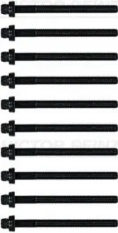 Комплект болтов головки цилидра VICTOR REINZ 14-32342-01