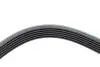 Ремінь генератора Ford Scorpio 2.0i 94-98 (6PK1755) HUTCHINSON 1755 K 6 (фото 4)