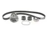 Комплект ГРМ + помпа Opel Frontera/Vectra B/Omega B 2.2 i 95-03 (24x171z) BOSCH 1 987 946 901 (фото 1)