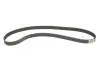Комплект ГРМ + помпа Opel Frontera/Vectra B/Omega B 2.2 i 95-03 (24x171z) BOSCH 1 987 946 901 (фото 14)