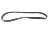 Ремінь генератора BMW 3 (E90/E93) 3.0 d (M57/N57) 05-13 (4PK811) Contitech 4PK811 ELAST (фото 1)