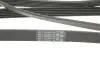 Ремінь генератора Chevrolet Lacetti/Nubira 2.0D 05-/Honda Civic IX 1.6/1.8 i-VTEC 11-16 Contitech 6PK2094 (фото 3)