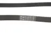 Ремінь генератора MB A-Class (W169)/B-class (W245) 2.0 CDI (OM640) 04-12 Contitech 5PK1310 (фото 3)