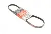 Ремінь генератора Renault Kangoo/Logan/Lada Largus 1.4/1.6 04- Gates 4PK916-890SF (фото 1)