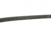 Ремінь генератора Renault Kangoo/Logan/Lada Largus 1.4/1.6 04- Gates 4PK916-890SF (фото 3)