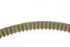 Комплект ГРМ Citroen Jumper/Jumpy/Peugeot Boxer/Expert 2.0 BlueHDi 15-/Ford Focus 14- (25.4x116z) BOSCH 1 987 946 668 (фото 16)