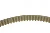 Комплект ГРМ Citroen Jumper/Jumpy/Peugeot Boxer/Expert 2.0 BlueHDi 15-/Ford Focus 14- (25.4x116z) BOSCH 1 987 946 668 (фото 7)