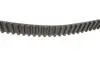 Комплект ГРМ + помпа Audi A3/TT/Skoda Octavia/VW Golf/Sharan 1.8 95-10 (23x150z) BOSCH 1 987 946 499 (фото 3)