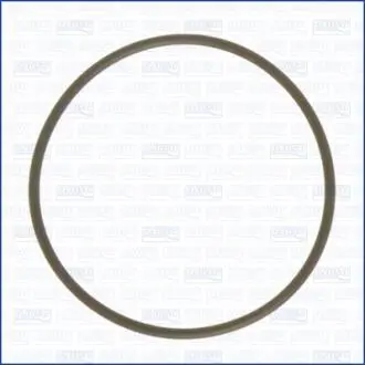 Прокладка впускного колектора Audi A4 99-12/A8 04-15/VW Passat 99-05 AJUSA 16032100