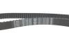 Комплект ГРМ + помпа Citroen Jumpy/Peugeot Expert 2.0HDi/Fiat Scudo 2.0 JTD 99-06 (25x144z) BOSCH 1 987 946 961 (фото 10)