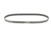Ремінь генератора Citroen C3/C4/Peugeot 307 1.4-1.6HDi 02- Contitech 6PK1090 ELAST (фото 2)
