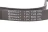 Ремінь генератора Honda Accord VII 2.0 03-08/Suzuki Grand Vitara 1.9DDiS 05-15 Contitech 7PK1388 (фото 5)