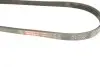 Ремінь генератора BMW 3 (E90-E93) 04-12 M57 Gates 4PK790SF (фото 4)