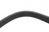 Ремінь генератора BMW 7 (E38) 94-01/Nissan Juke/Qashqai 1.6i 07- (7PK1043) BOSCH 1 987 946 249 (фото 4)