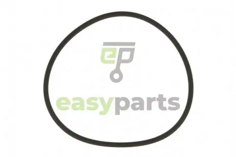 Ущільнююче кільце вакуумного насоса (53X2mm) BMW 5/7/X5 ELRING 584.630