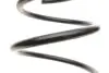 Пружина (передня) BMW X1 (E84) sDrive 18d/18i/20d/20i 09-15 (SUV) (без М-техн.) LESJOFORS 4008507 (фото 2)