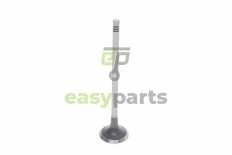 Клапан (випуск) Renault Master 2.2/2.5 dTi/dCi 00- (29.5x6x123) TRW 539021