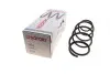 Пружина (передня) VW Polo 1.4TDI 01-09 (осн. BlueMotion)/Fox 1.2/1.4 05-11 (нах.зад.частина) LESJOFORS 4095087 (фото 1)