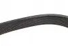 Ремінь генератора MB Atego 2/Axor 2 (OM926/OM924/OM902) 04- (8PK1920) BOSCH 1 987 947 060 (фото 4)