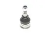 Опора кульова (передня/знизу) Citroen C1/Peugeot 107/108 05-/Toyota Yaris 99-12/Verso S (d=36.75mm) RTS 93.02523 (фото 5)