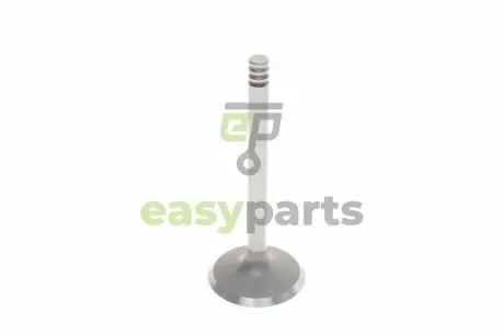 Клапан (впуск) VW Caddy/T5 1.9TDI/2.0TDI/2.5TDI 03- TRW 331123