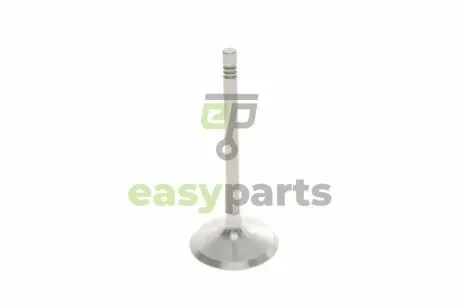 Клапан (впуск) VW Caddy III/Golf/Passat 1.6 04-15 (39.5x6x94) TRW 331057