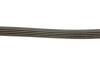 Ремiнь клиновий Suzuki SX4 2.0 4x4 06- Gates 5PK1665 (фото 4)