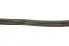 Ремiнь клиновий Suzuki SX4 2.0 4x4 06- Gates 5PK1665 (фото 4)