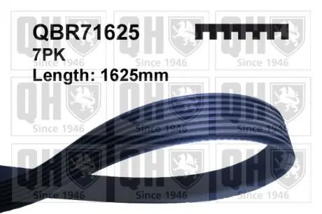 Ремiнь клиновий QUINTON HAZELL QBR71625