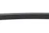 Ремінь генератора Audi A6 4.2 98-05/A8 3.7/4.2 98-02 (6PK2648) HUTCHINSON 2648K6 (фото 4)