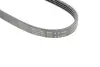 Ремінь генератора BMW 5 (E60) 2.5/3.0D 04-10 (M57) (4PK830) HUTCHINSON 830SK4 (фото 4)