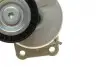 Натяжник ременя генератора Citroen C4/C5/Peugeot Expert 2.0 HDi 09- INA 534 0658 10 (фото 9)