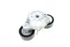 Натяжник ременя генератора Land Rover Range Rover 2.0D 15- INA 534 0696 10 (фото 7)