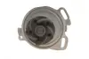Помпа води VW T4 2.4D 91-95 (18z) (AAB) SKF VKPC 81803 (фото 3)