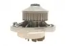 Помпа води Seat Cordoba/Ibiza/VW Golf/Polo 1.0i/1.3i/1.4i/1.6i 82-02 SKF VKPC 81204 (фото 4)