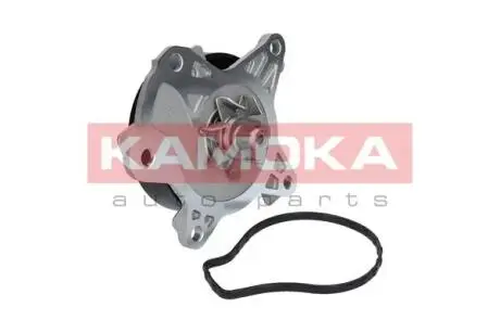 Помпа води KAMOKA T0262
