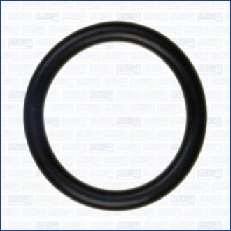 Кольцо резиновое AJUSA 16091100 (фото 1)