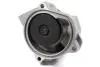 Водяной насос VW TRANSPORTER III 2.1 08.84-07.92 352316171169, 538032710, VKPC81609, WPQ1169, SW30150025, 9150, A167, 50005162, HEPU P532 (фото 2)