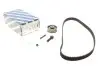 Комплект ГРМ VW T4 1.9D/TD 92-03 (137x25) BOSCH 1987946325 (фото 1)
