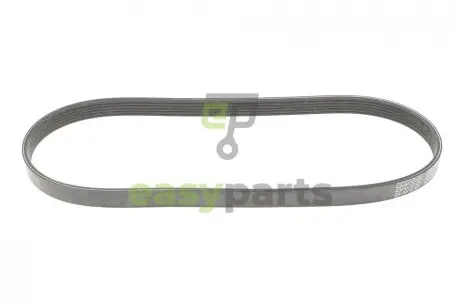 Ремінь генератора Renault Kangoo 1.9D 97- DAYCO 6PK895DT