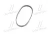 Ремень поликлиновой компрессора кондиционера HYUNDAI Getz 02-10,i-10 07-13;KIA Picanto 04-11 Hyundai/Kia/Mobis 9771302000 (фото 4)