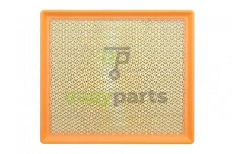 Фільтр повітряний Renault Master 2.2dCi/2.5dCi 03-/Opel Movano 2.2DTI/2.5CDTI 03-10 (з сіткою) ALPHA FILTER AF1746s