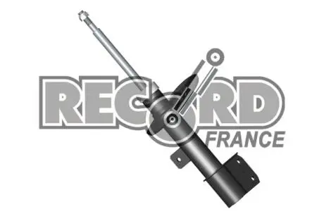 Амотризатор OIL передний правый цена за 1 шт.УПАК.по 2 шт.(+104709) RECORD 104710
