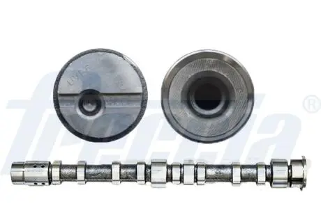 Вал распределительный FORD F9DA/F9DB/RWPA (OE-XS4Q6250AC/1078426/2176677/1078426/1077058) FRECCIA CM052197