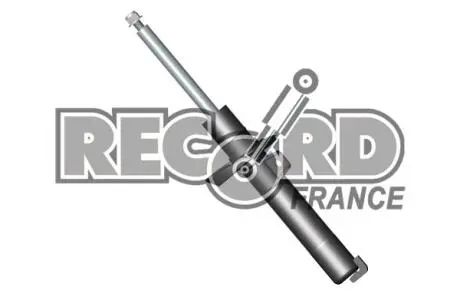 Амотризатор GAS передний цена за 1 шт.УПАК.по 2 шт.(левый + правый) RECORD 334503